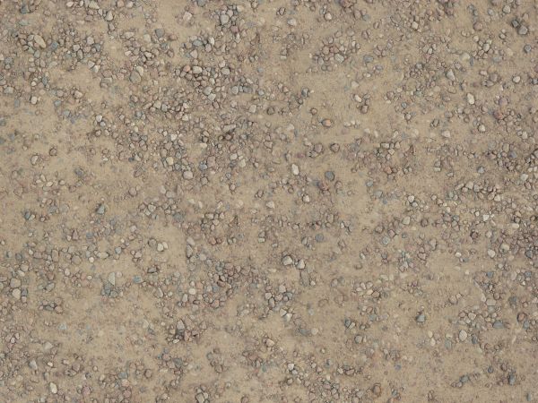 Ground texture containing small, grey stones embedded in brown dirt.